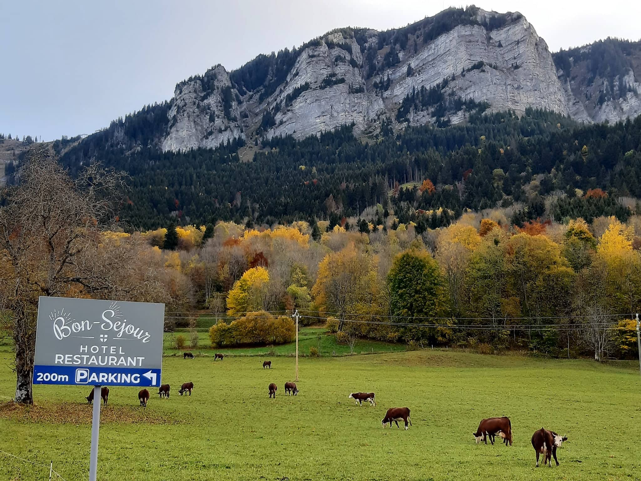 Images de l'établissement