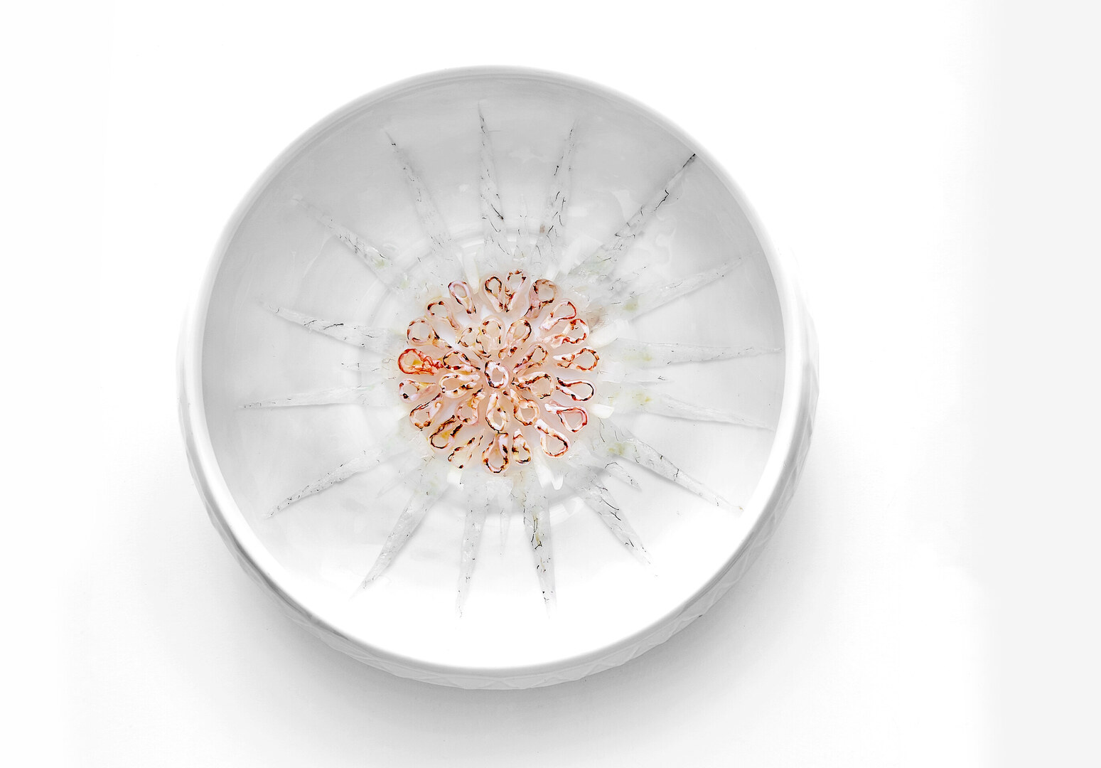 Images de l'établissement