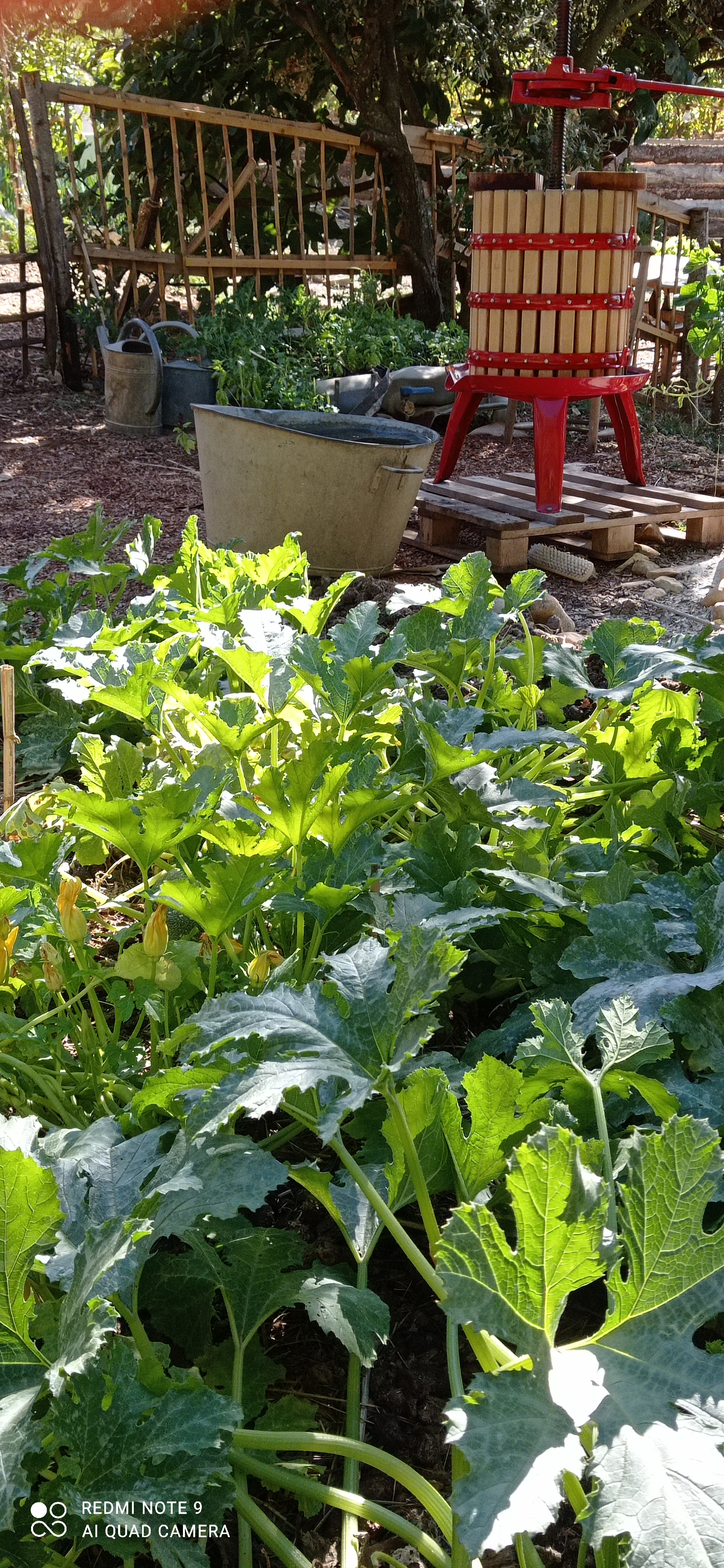 Images de l'établissement