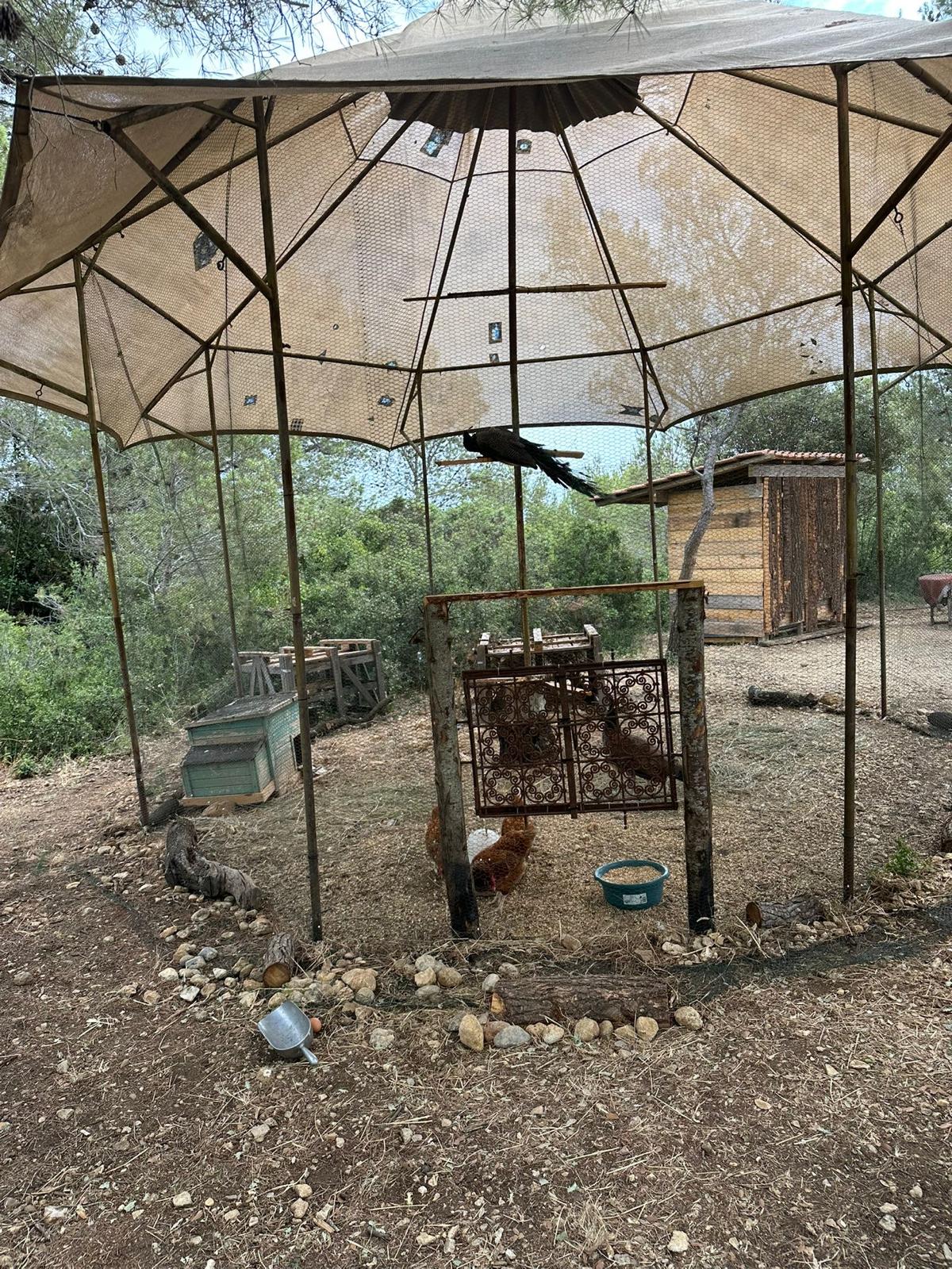 Images de l'établissement