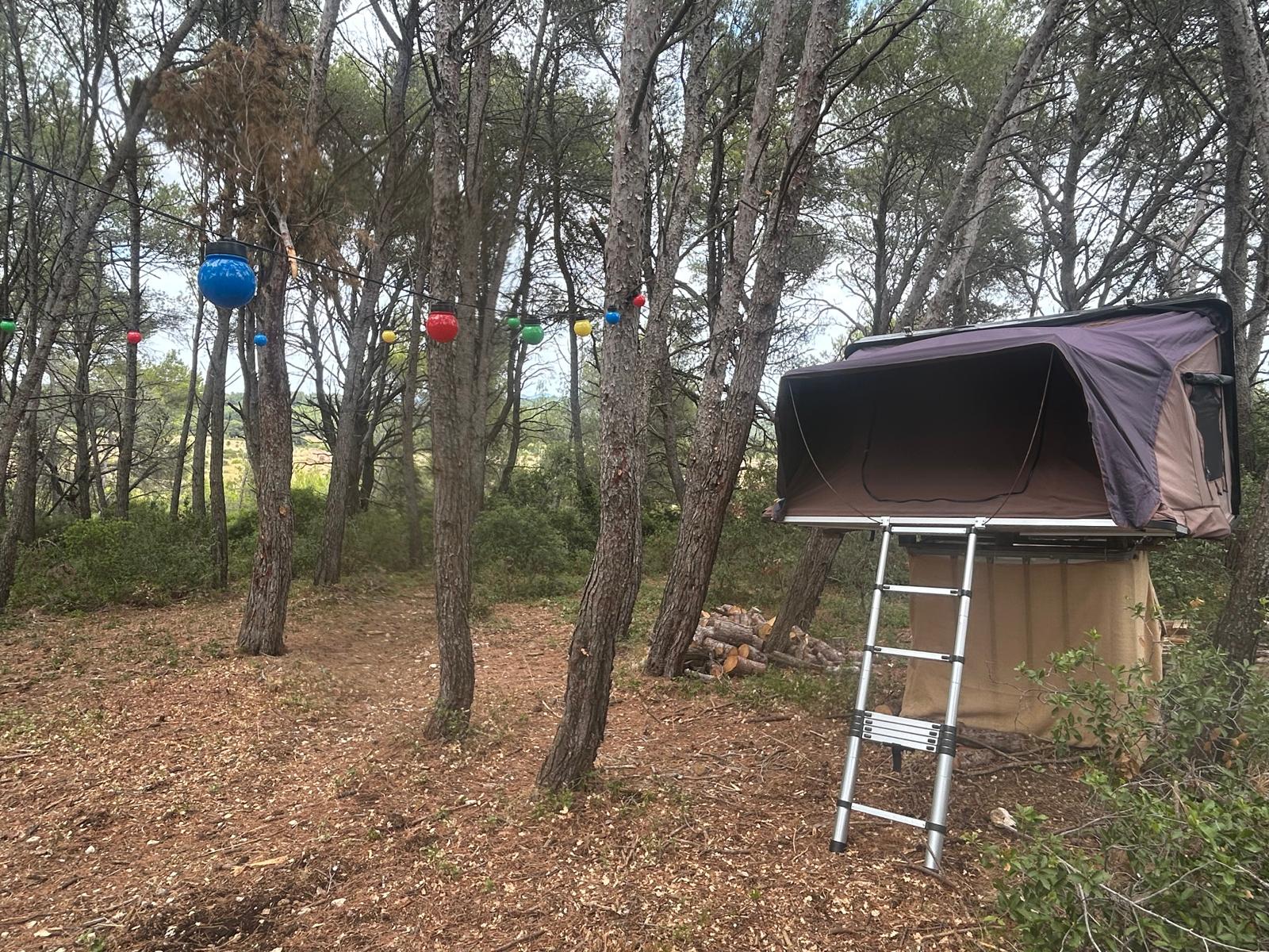 Images de l'établissement