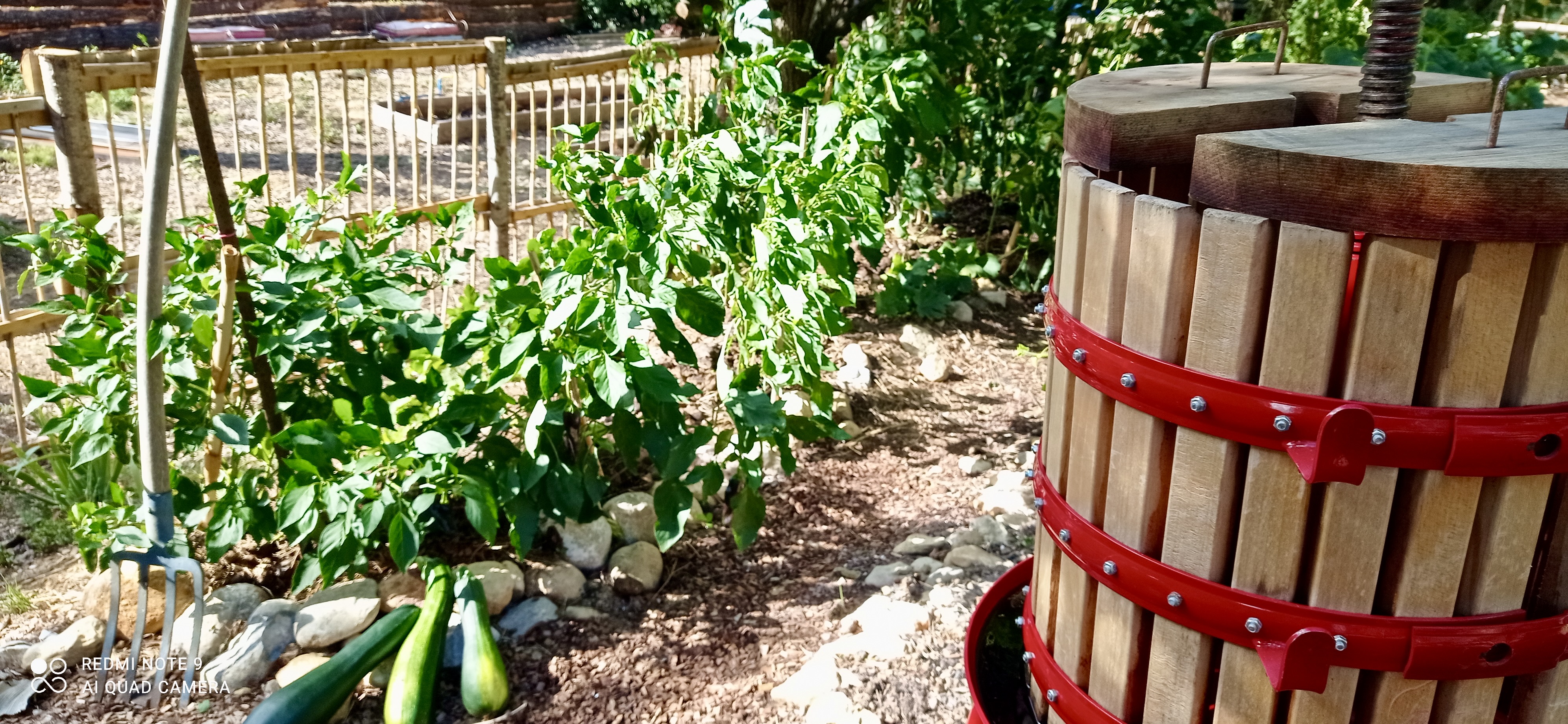 Images de l'établissement