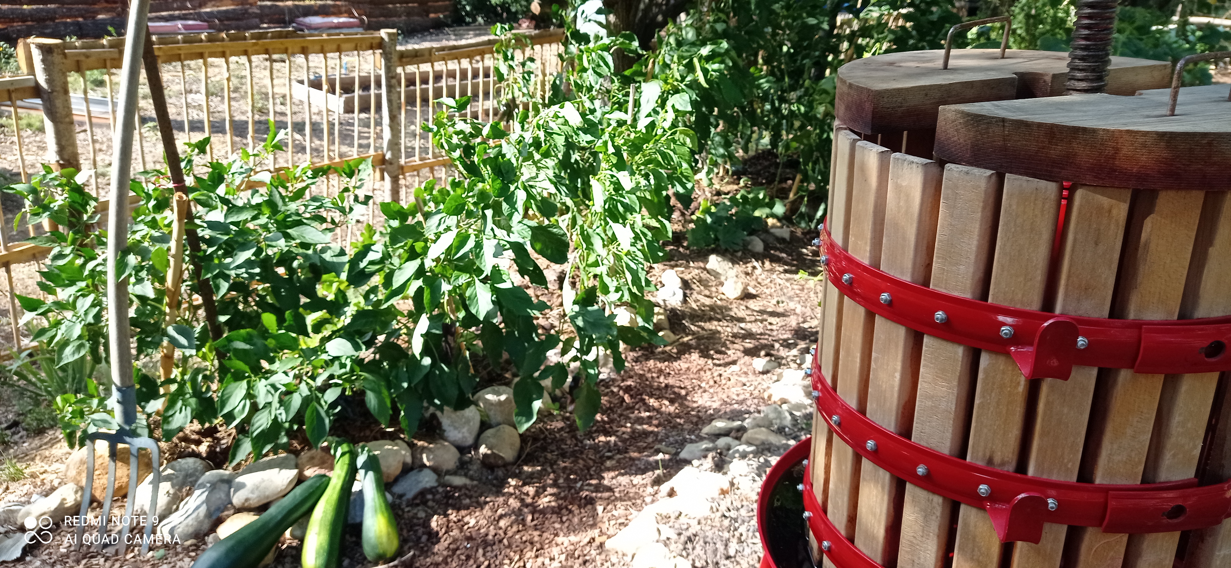 Images de l'établissement