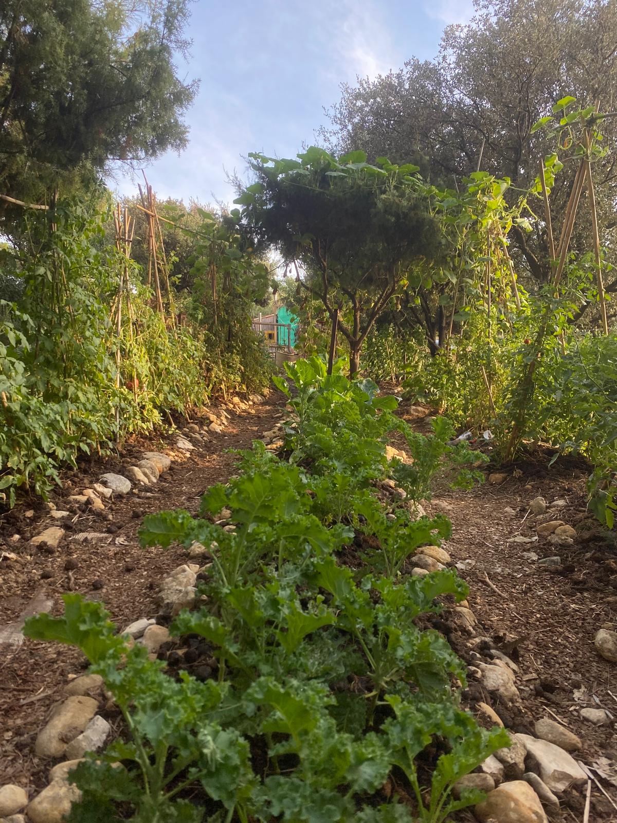 Images de l'établissement