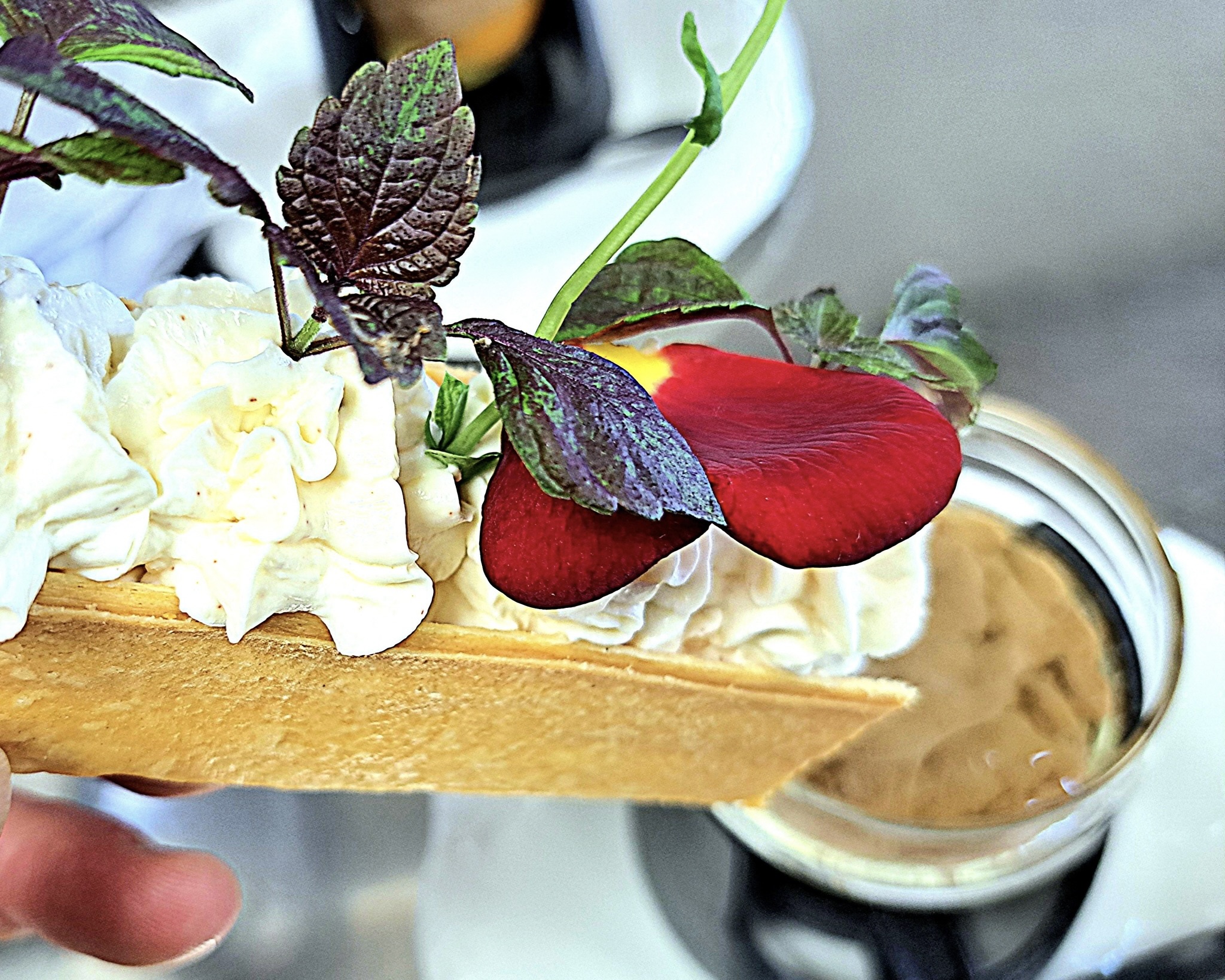 Images de l'établissement