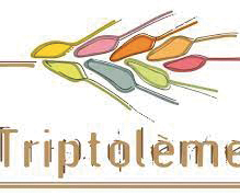 Images de l'établissement