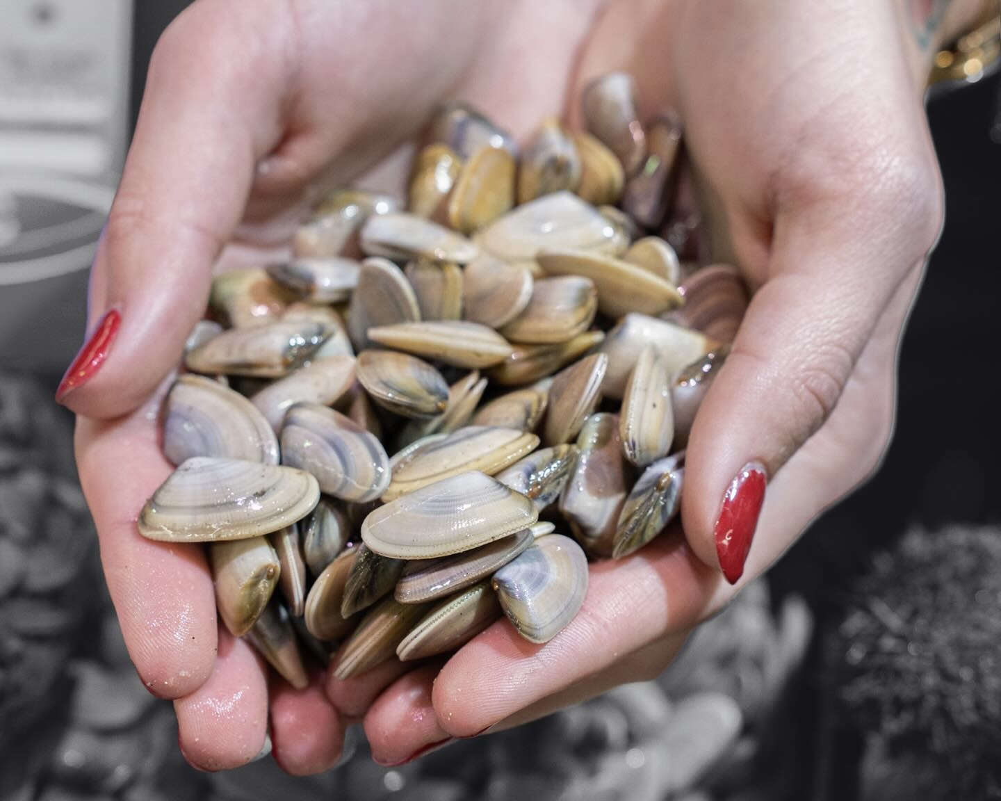 Images de l'établissement