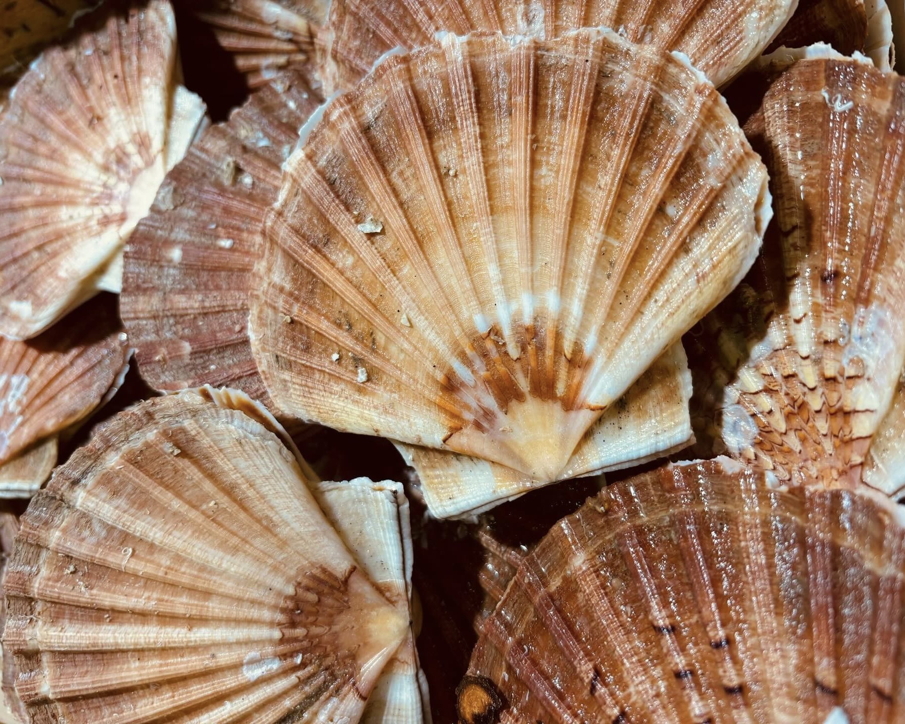 Images de l'établissement